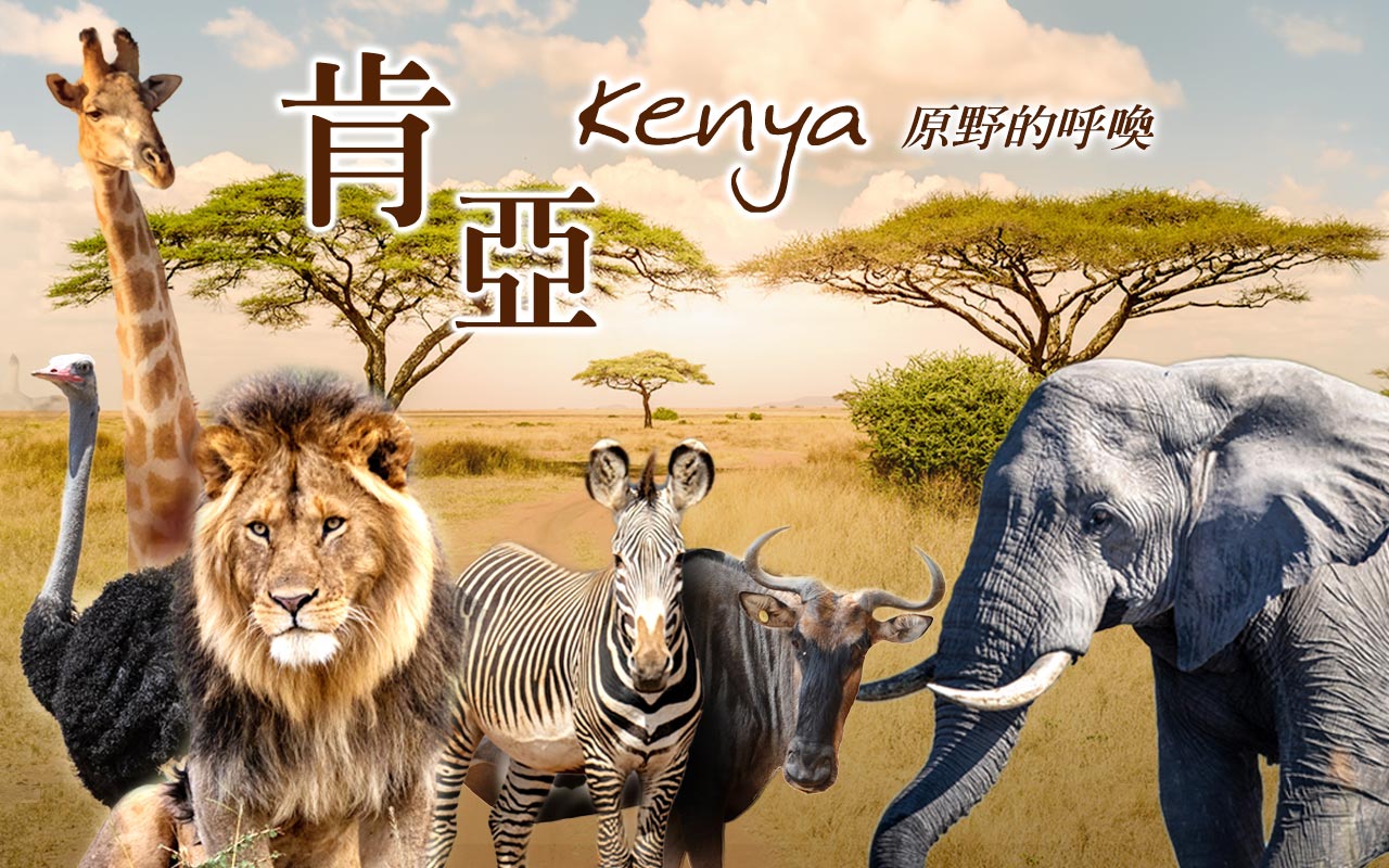 肯亞